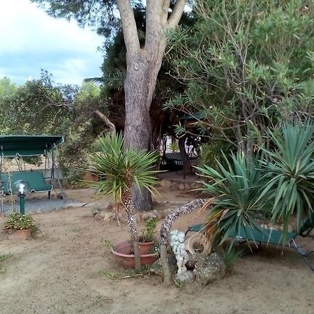 B&B Il Vigneto Capoterra Buitenkant foto