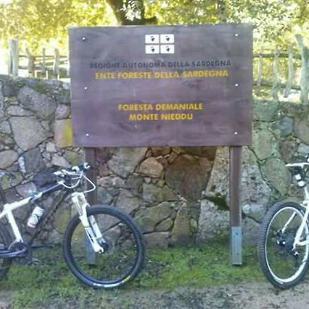 B&B Il Vigneto Capoterra Buitenkant foto