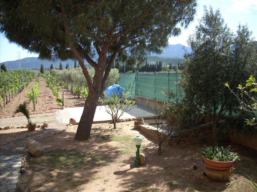 B&B Il Vigneto Capoterra Buitenkant foto