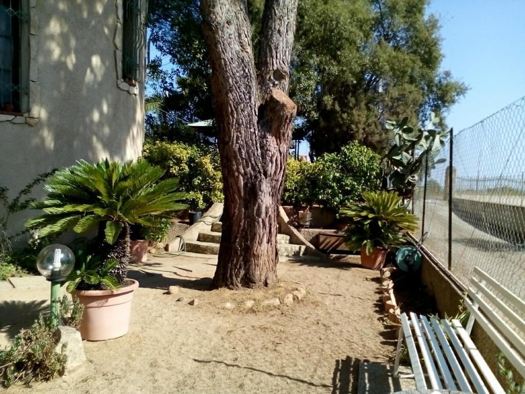 B&B Il Vigneto Capoterra Buitenkant foto